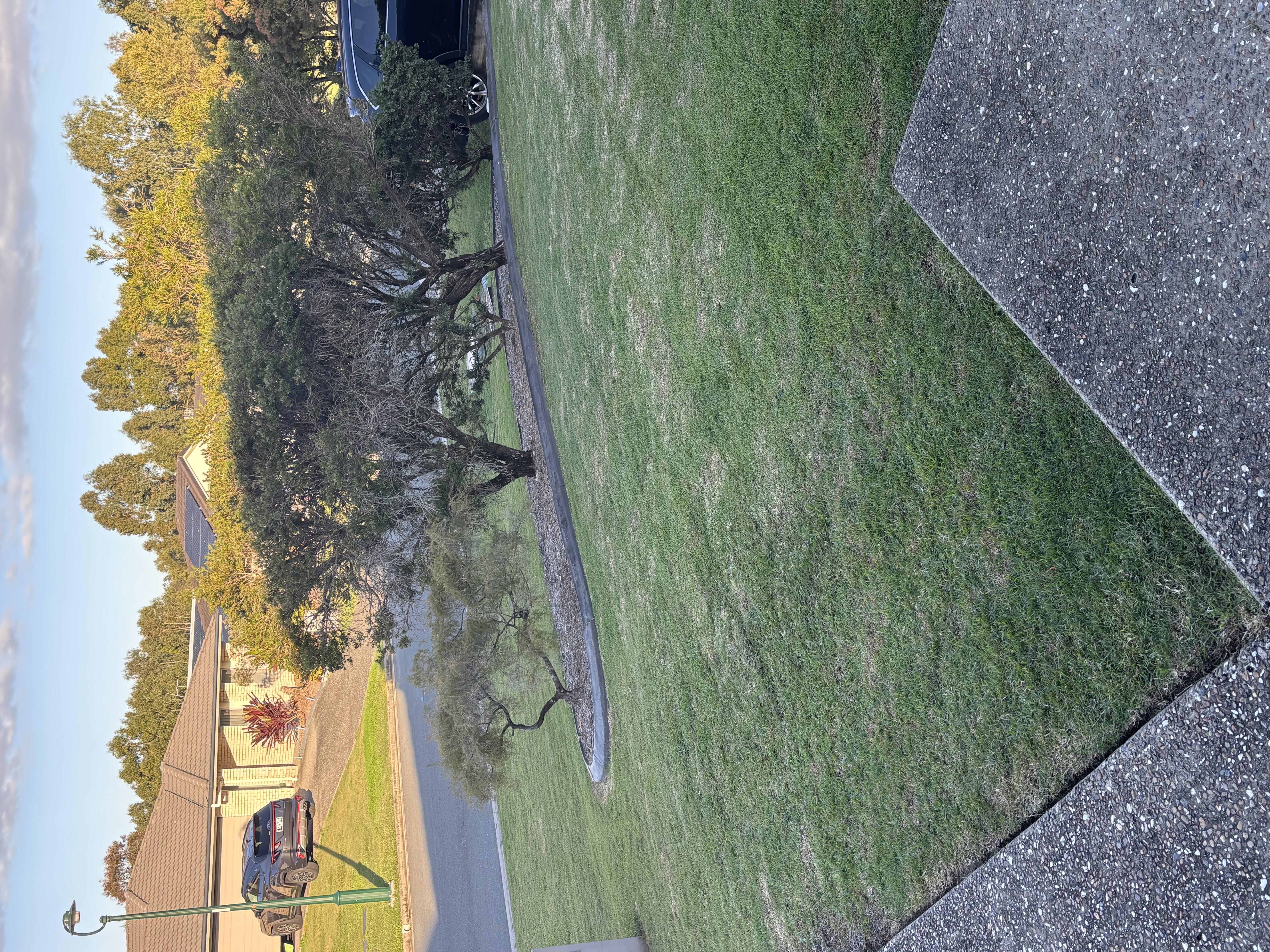 5 Signs Your Lawn Needs a Professional Mow