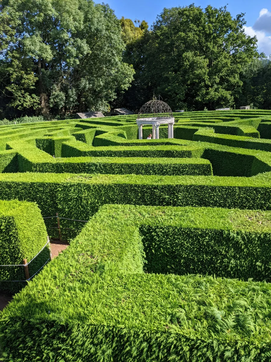 When Should You Trim Hedges in Brisbane? A Species-by-Species Timing Guide